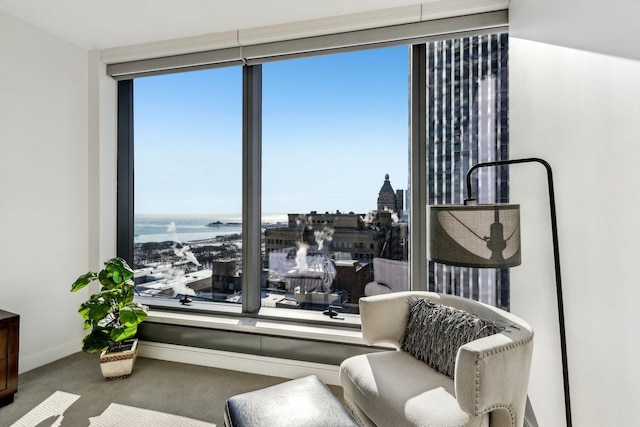 living area featuring a water view, a wealth of natural light, and carpet