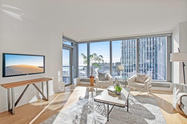 living room featuring floor to ceiling windows and light hardwood / wood-style floors