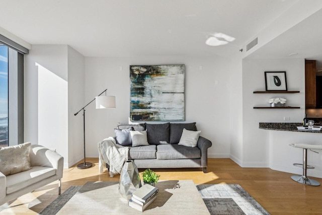 living room featuring light wood-type flooring