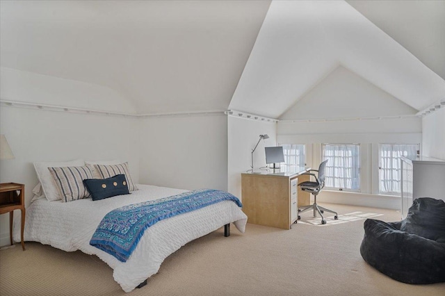 bedroom with lofted ceiling and carpet flooring