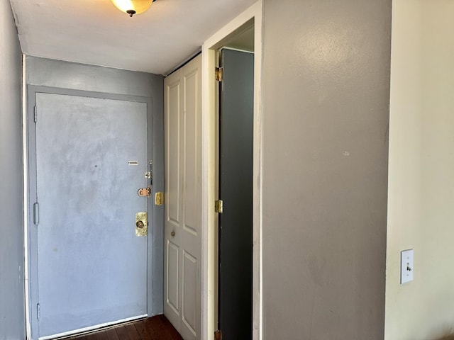 entryway featuring dark wood-type flooring