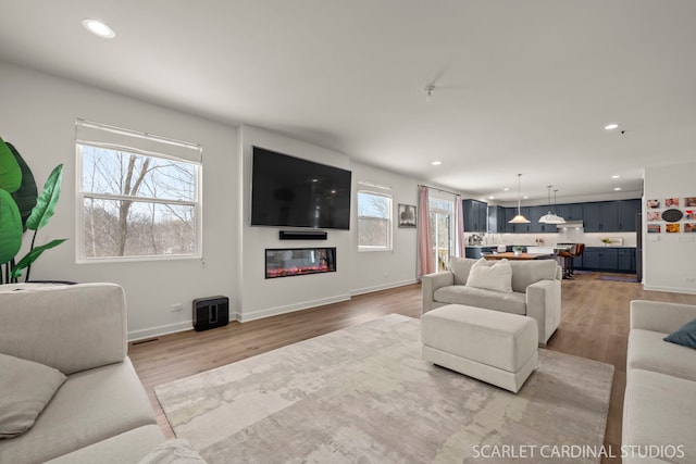 living room featuring light hardwood / wood-style floors