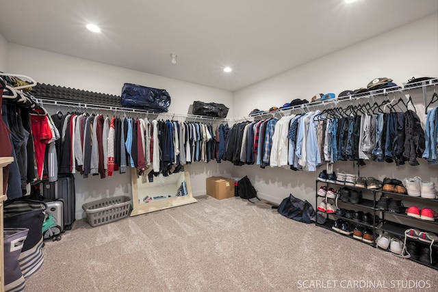 spacious closet featuring carpet