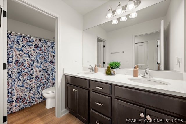 bathroom featuring vanity, hardwood / wood-style flooring, and toilet