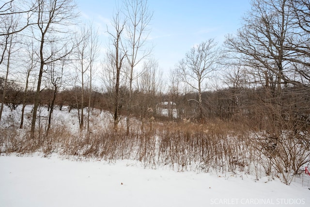 view of snowy landscape