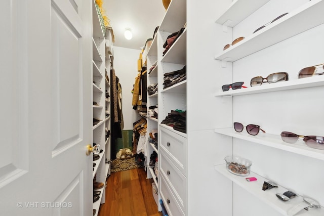 spacious closet featuring dark wood-type flooring