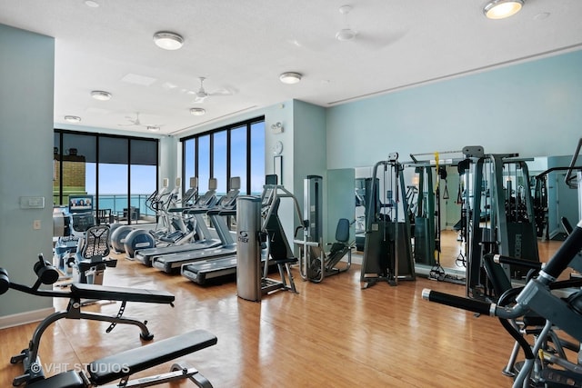 1040 N Lake Shore Dr Unit 34C, Chicago, IL 60611 - exercise room with wood finished floors, ceiling fan, and a wall of windows