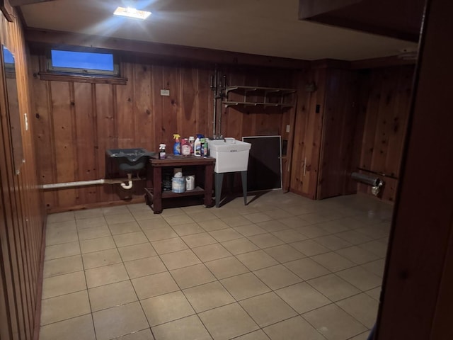 basement featuring sink and wooden walls