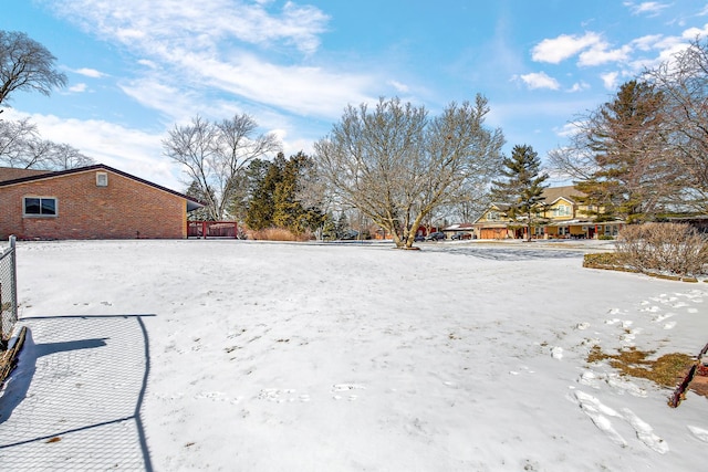 view of yard covered in snow