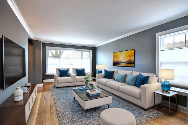 living room featuring ornamental molding, baseboards, and wood finished floors