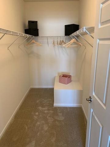 486 Ridge Ln, Bolingbrook, IL 60440 - spacious closet with dark carpet