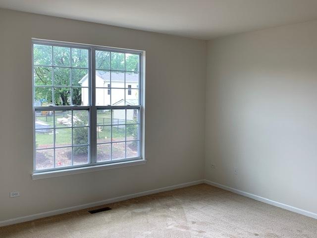 486 Ridge Ln, Bolingbrook, IL 60440 - unfurnished room featuring carpet floors and a healthy amount of sunlight