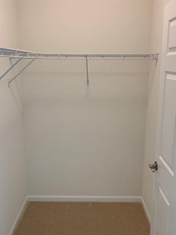 486 Ridge Ln, Bolingbrook, IL 60440 - spacious closet featuring carpet floors