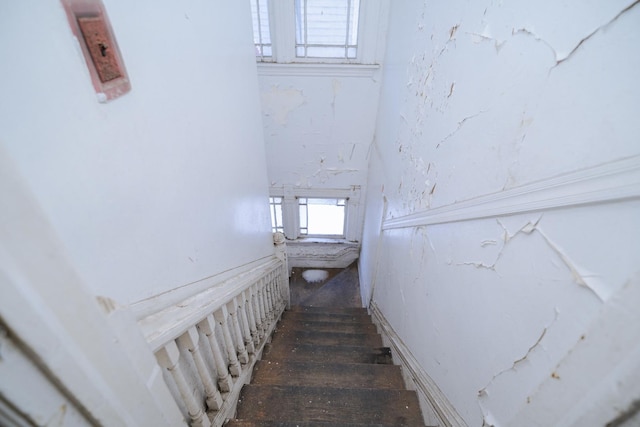 stairs featuring hardwood / wood-style flooring