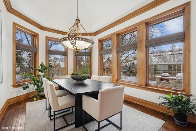 dining space featuring crown molding and dark hardwood / wood-style floors