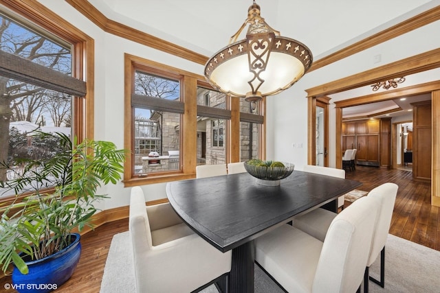 dining space with ornamental molding and dark hardwood / wood-style flooring