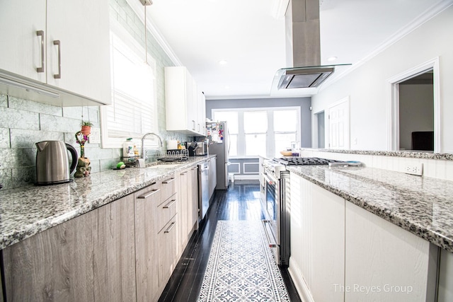 kitchen with ornamental molding, island exhaust hood, stainless steel appliances, and a sink