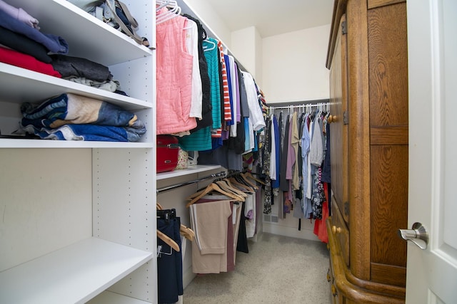 view of spacious closet