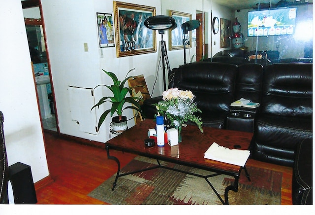 living room with wood-type flooring