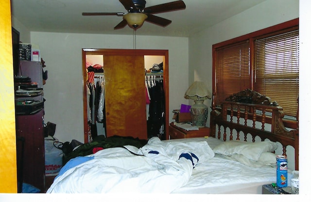 49 W 83rd St, Chicago, IL 60620 - bedroom featuring a closet, a walk in closet, and a ceiling fan