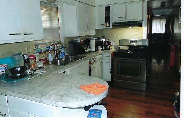 49 W 83rd St, Chicago, IL 60620 - kitchen with stainless steel range with gas cooktop, tasteful backsplash, light countertops, a sink, and under cabinet range hood