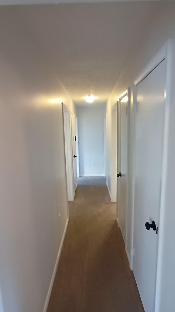 corridor featuring light carpet and baseboards