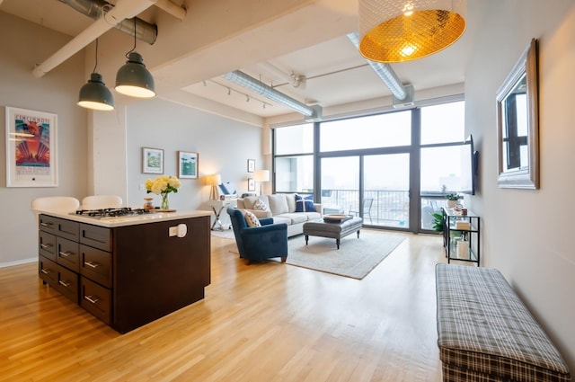 living room featuring track lighting, beamed ceiling, light wood-type flooring, and expansive windows