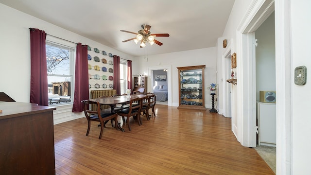 dining area featuring hardwood / wood-style flooring and ceiling fan