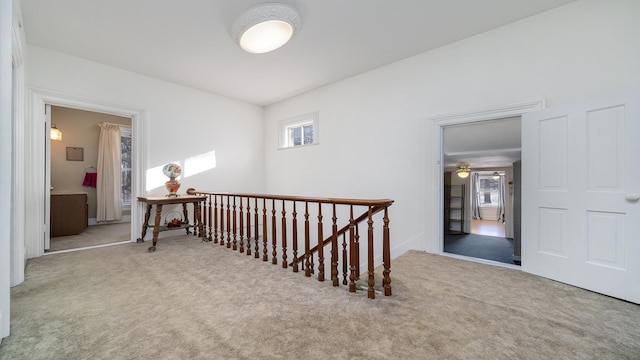 hall with carpet floors