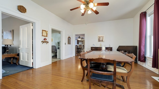 dining room featuring ceiling fan and light hardwood / wood-style flooring