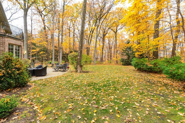 view of yard featuring a patio area