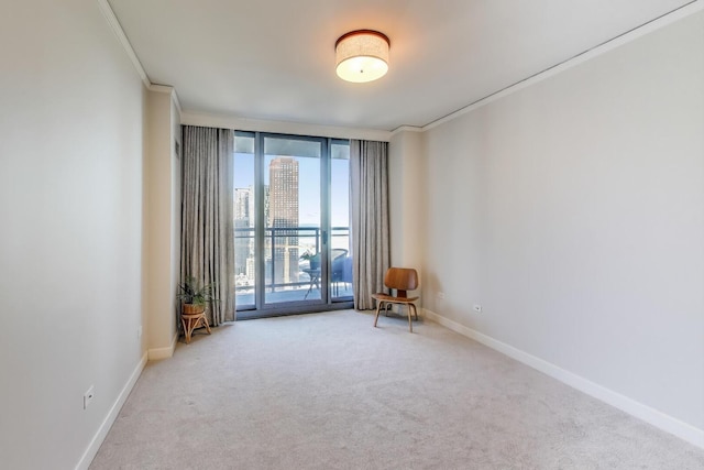 spare room featuring a view of city, carpet, crown molding, and baseboards