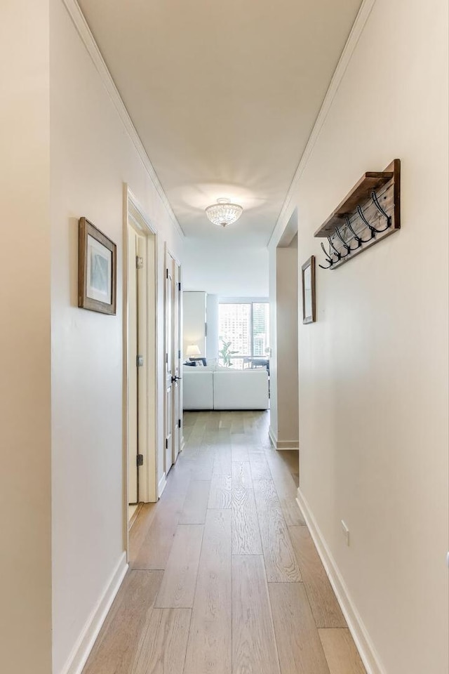 hallway featuring baseboards, light wood-style flooring, and crown molding