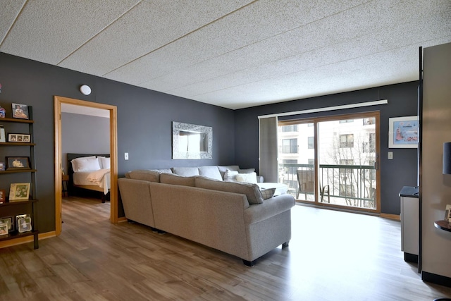 living room with wood-type flooring