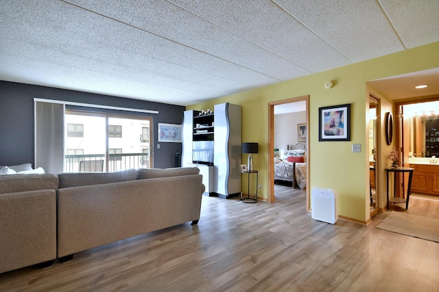 living room with light hardwood / wood-style flooring