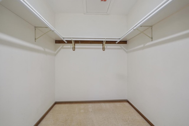 walk in closet featuring light colored carpet