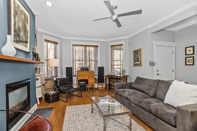 living area featuring a ceiling fan, a fireplace with flush hearth, ornamental molding, and wood finished floors