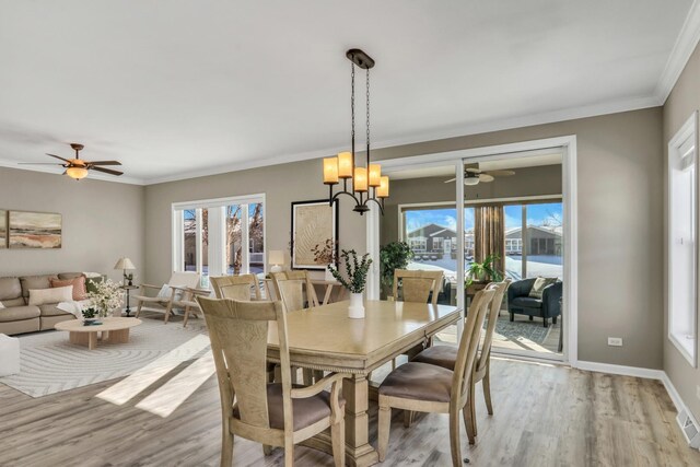 dining room featuring light wood-type flooring, plenty of natural light, and crown molding