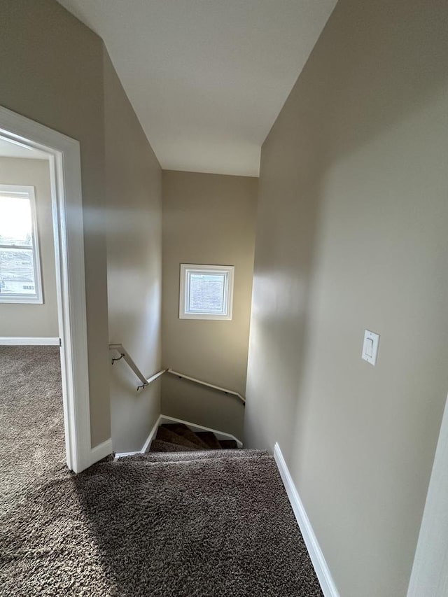 stairs featuring a wealth of natural light and carpet