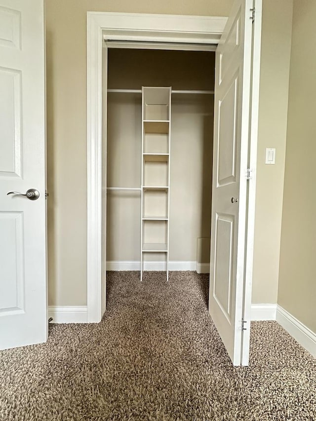 view of closet