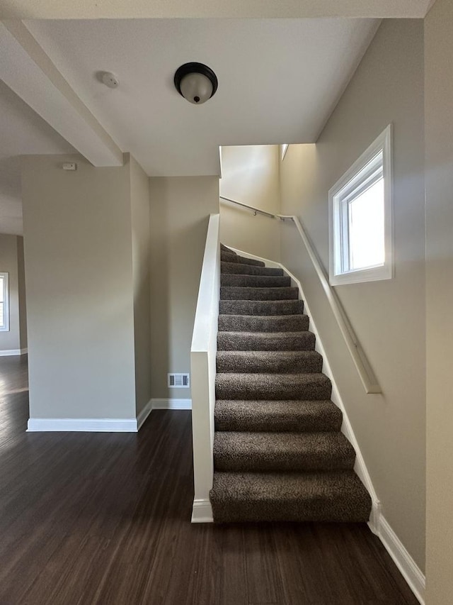 staircase with hardwood / wood-style flooring