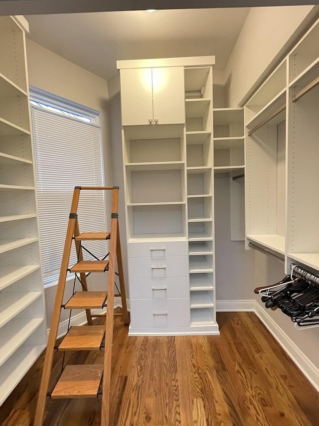 spacious closet with hardwood / wood-style flooring