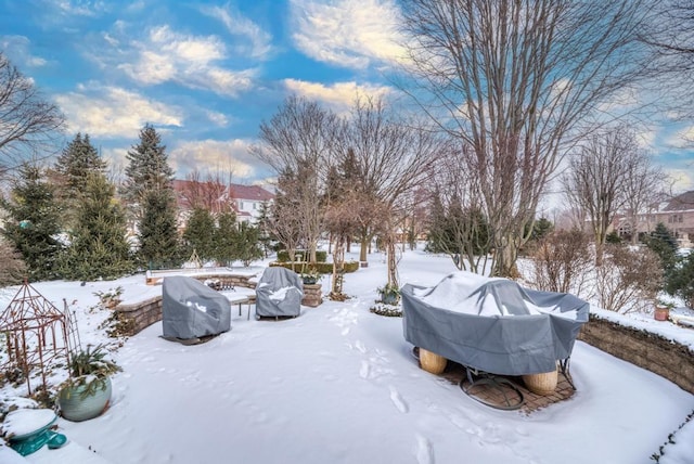 view of snowy yard