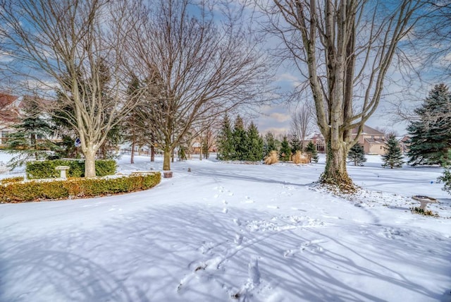 view of snowy yard