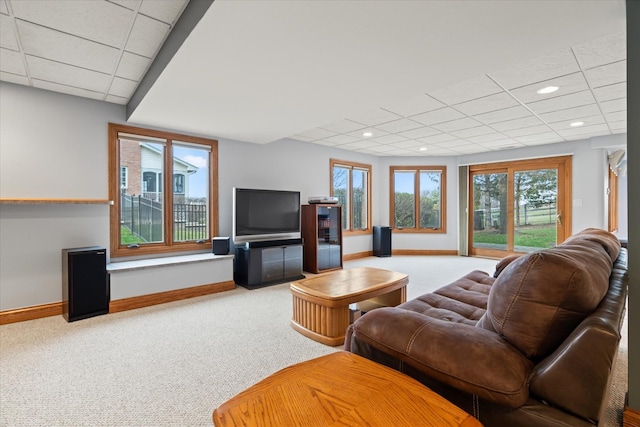 carpeted living room featuring a drop ceiling