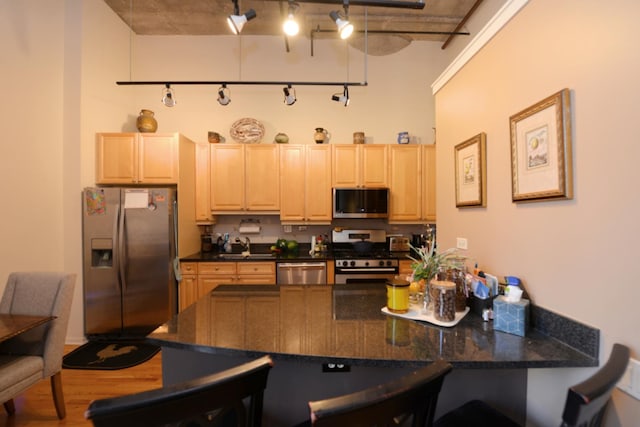 kitchen featuring dark stone counters, a towering ceiling, stainless steel appliances, and light brown cabinets