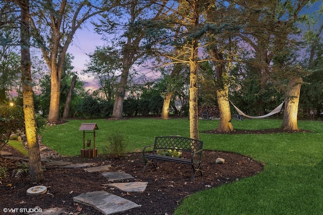 view of yard at dusk