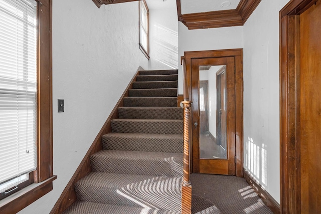 stairs featuring carpet floors and ornamental molding