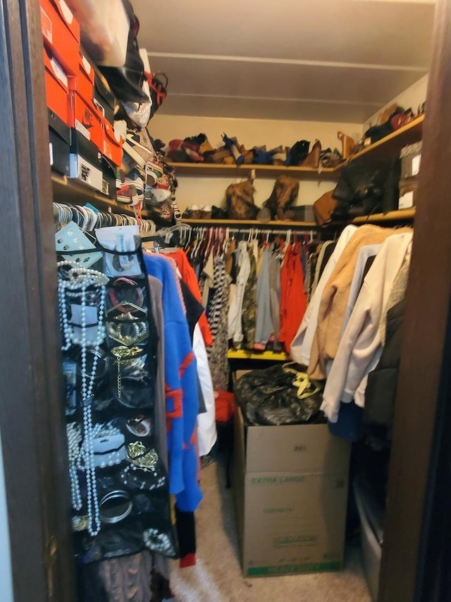 view of walk in closet