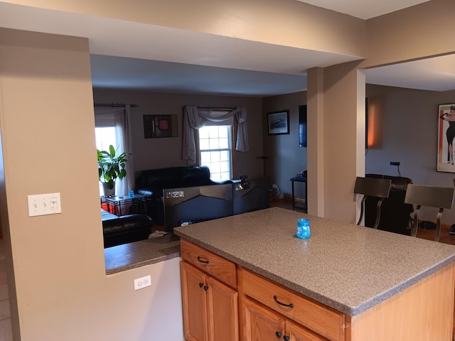 1024 Confederation Dr, Bartlett, IL 60103 - photo 8